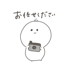 [LINEスタンプ] カメラ好き向けスタンプ