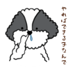 [LINEスタンプ] あほの子そうすけ
