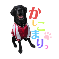 [LINEスタンプ] ビーたんスタンプ