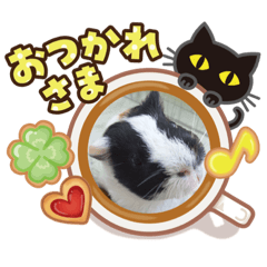 [LINEスタンプ] もるもっとな日々