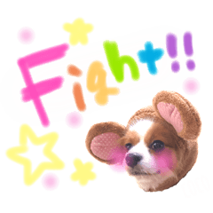 [LINEスタンプ] たれみみ、ここたん。2