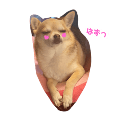 [LINEスタンプ] 家族に乾杯やでぇ