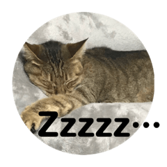 [LINEスタンプ] ぐーちゃんスタンプ1！！