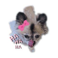 [LINEスタンプ] rusf
