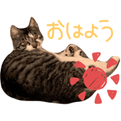 [LINEスタンプ] ラムとミト