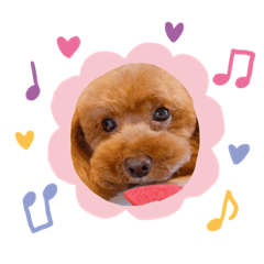 [LINEスタンプ] わたしのくまちゃん♡
