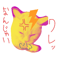[LINEスタンプ] 猫族の反応