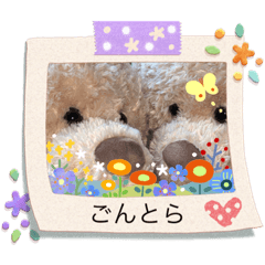 [LINEスタンプ] ごんとらスタンプ