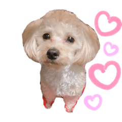 [LINEスタンプ] マルプー.めるさんNo.3