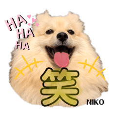 [LINEスタンプ] デカイけどポメ ニコくん