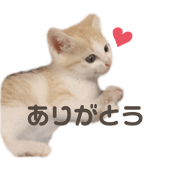 [LINEスタンプ] うちの子スタンプ(あいさつ)
