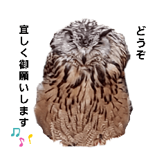 [LINEスタンプ] そるちゃん 挨拶