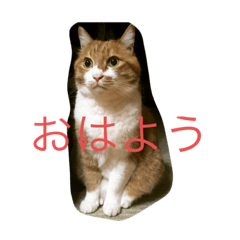 [LINEスタンプ] Minto's life