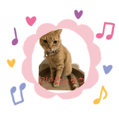[LINEスタンプ] むぎちゃんの日常。2