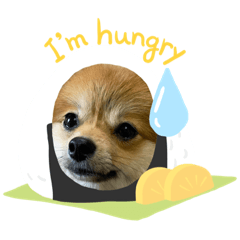 [LINEスタンプ] ガルルなな