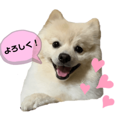 [LINEスタンプ] タロンくん。No.2