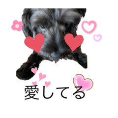 [LINEスタンプ] かわいい中西リッキー君