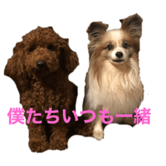 [LINEスタンプ] 愛犬ココアとルイのスタンプシリーズ