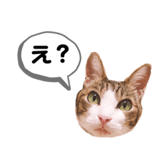 [LINEスタンプ] わたしメイ
