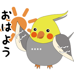 [LINEスタンプ] 毎日使えるオカメインコ定型文【カスタム】