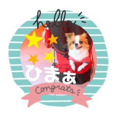 [LINEスタンプ] かわゆいわんちゃん