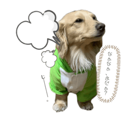 [LINEスタンプ] モカたんの日常スタンプ