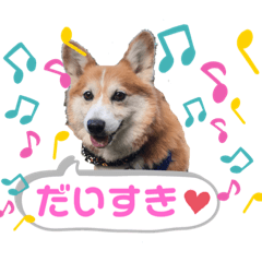 [LINEスタンプ] わんこのしんごちゃん4