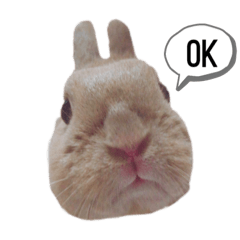 [LINEスタンプ] すずきどうぶつえん
