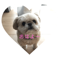 [LINEスタンプ] はんすけくん