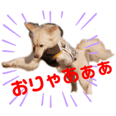 [LINEスタンプ] こむろんちのスタンプ2