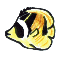 [LINEスタンプ] チョウチョウウオ属の日常スタンプ