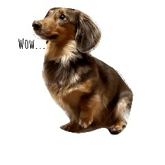 [LINEスタンプ] 愛犬チョコのスターンプ