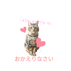 [LINEスタンプ] わが家のぽんずう