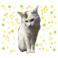 [LINEスタンプ] ＠MVS