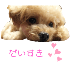 [LINEスタンプ] hoMikan_
