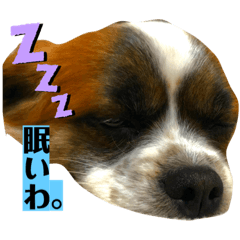 [LINEスタンプ] ロクのすけ