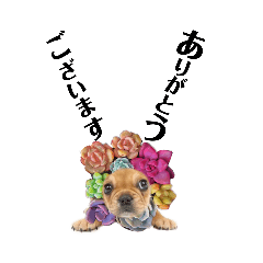 [LINEスタンプ] フレブルlife5