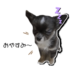 [LINEスタンプ] KOKIN©︎