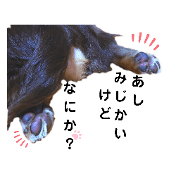 [LINEスタンプ] 愛しのマッスルまろん