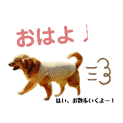 [LINEスタンプ] いろいろみもっち