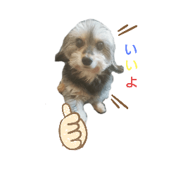 [LINEスタンプ] ダップールイのスタンプ③