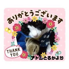 [LINEスタンプ] 猫のアトムとリスのるかの仲良しスタンプ