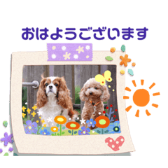[LINEスタンプ] モカロンと楽しい毎日