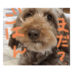 [LINEスタンプ] セピアさんの気まぐれ