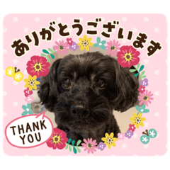 [LINEスタンプ] クレアさん
