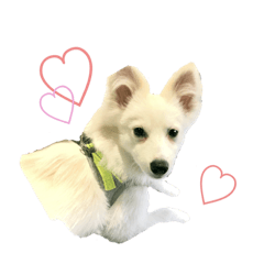 [LINEスタンプ] mochi to mochi 3