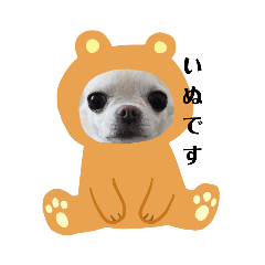 [LINEスタンプ] あむです