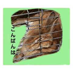 [LINEスタンプ] ふぁみちゃん3