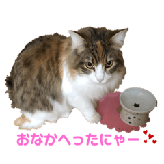 [LINEスタンプ] ノルウェージャンるなちゃん