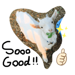 [LINEスタンプ] やぎのきもち